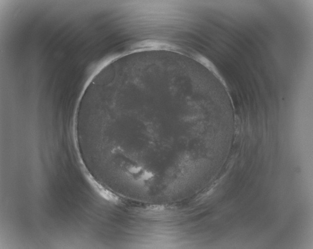 X0000064721098200602101117