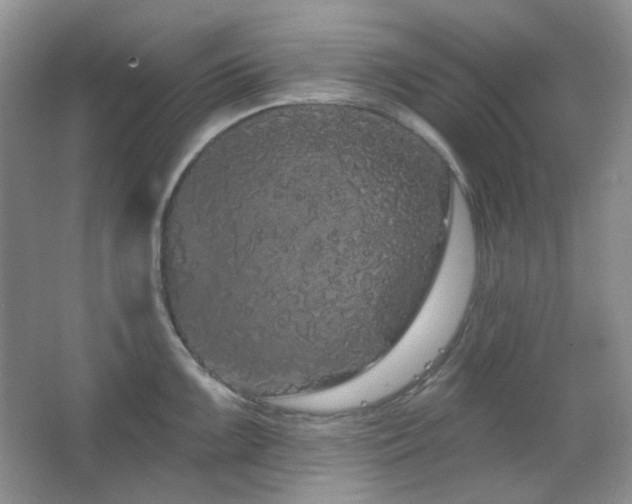 X0000064721099200602101117