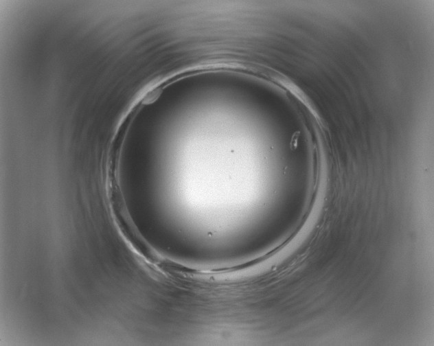 X0000064721101200602101117