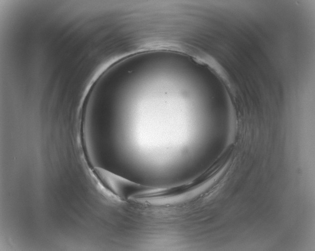 X0000064721102200602101117