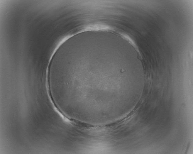 X0000064721103200602101117