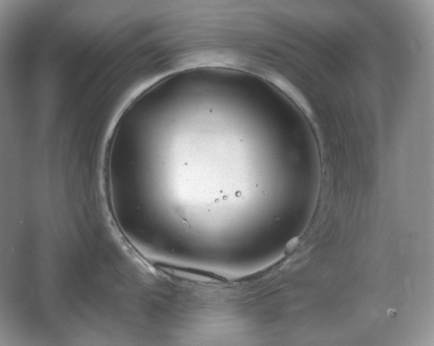 X0000064721104200602101117