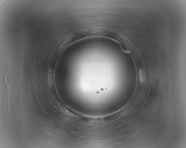 X0000064721107200602101116