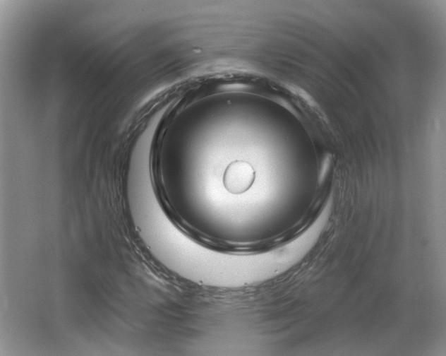 X0000064721112200602101117