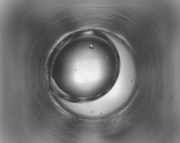 X0000064721118200602101117