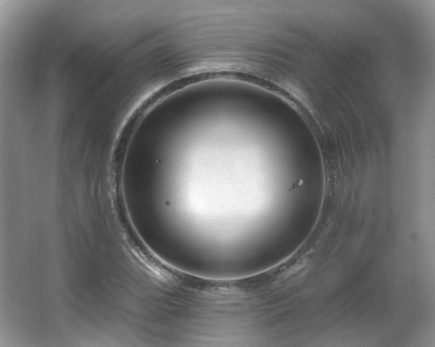 X0000064721119200602101117