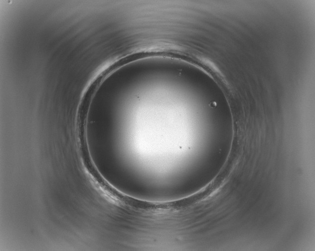 X0000064721122200602101117