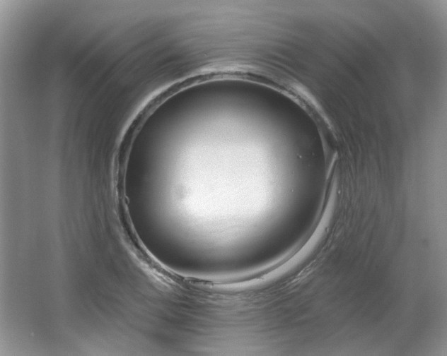 X0000064721124200602101117