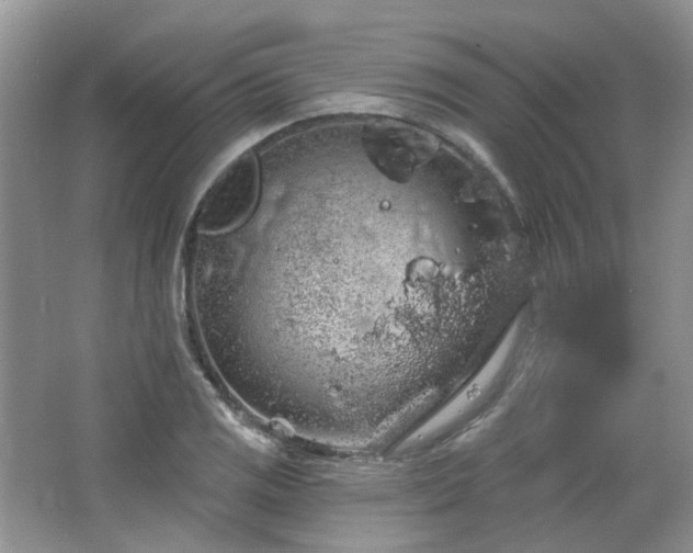 X0000064721125200602101117