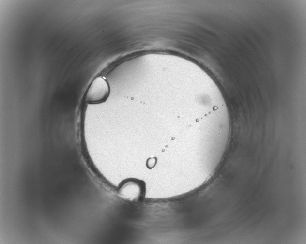 X0000064721126200602101117