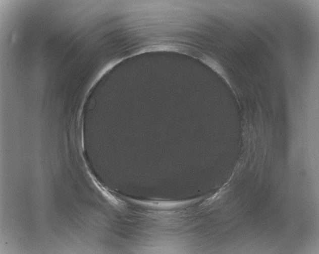 X0000064721127200602101117