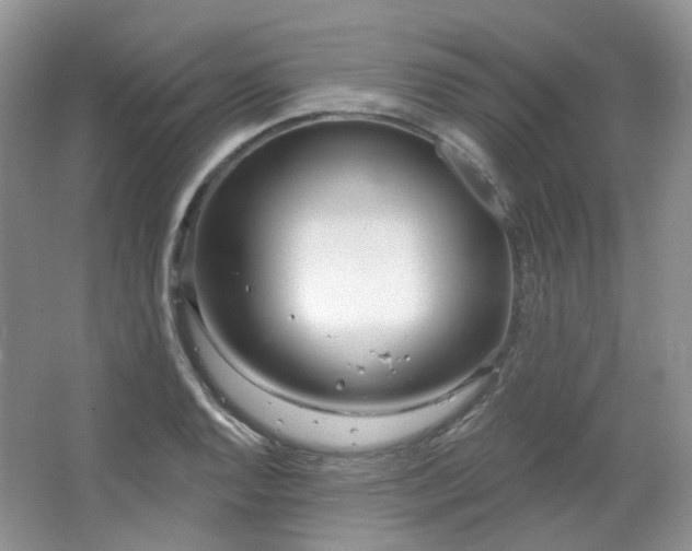 X0000064721128200602101117