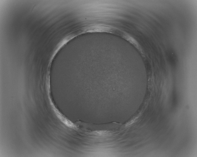 X0000064721130200602101117