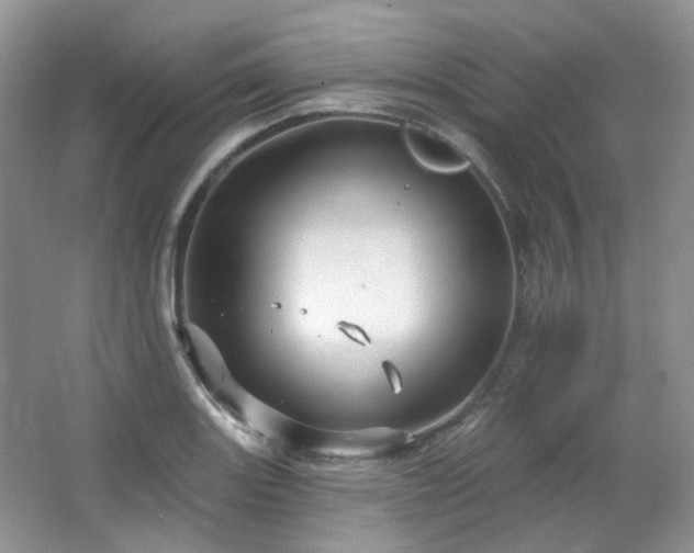 X0000064721131200602101117