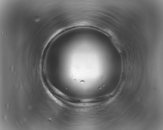 X0000064721134200602101117