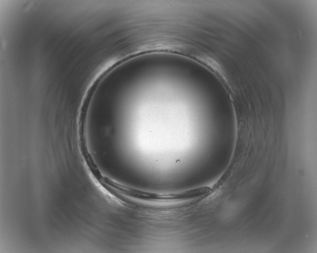 X0000064721135200602101117