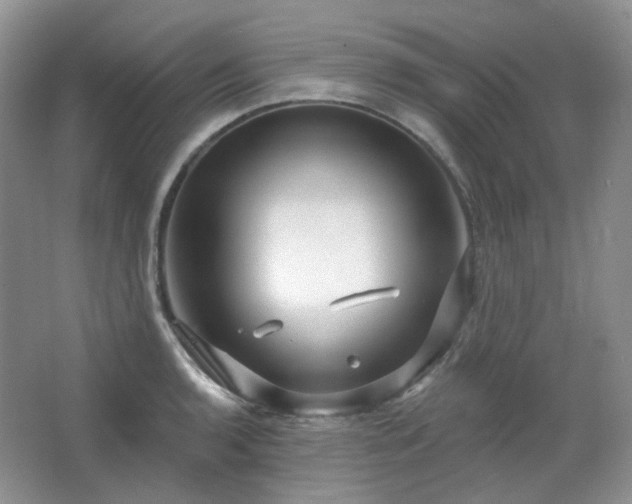 X0000064721136200602101117