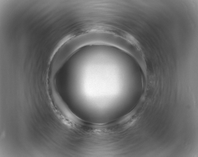 X0000064721138200602101117