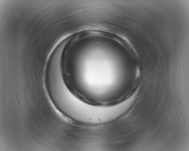 X0000064721139200602101117