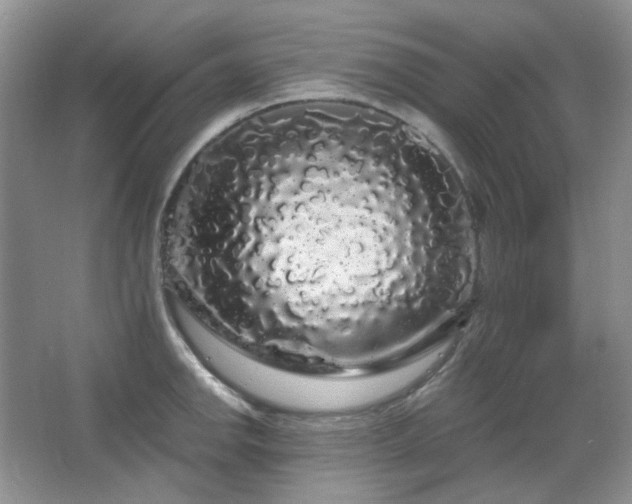 X0000064721142200602101117