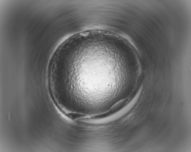 X0000064721143200602101117