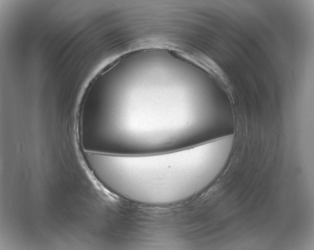 X0000064721144200602101117