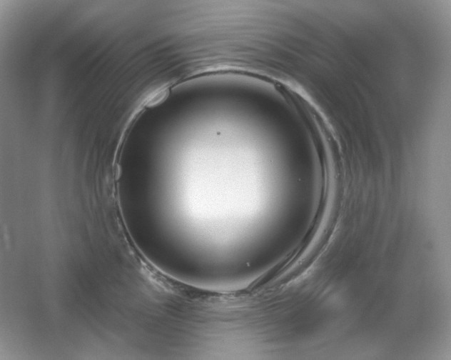 X0000064721145200602101117