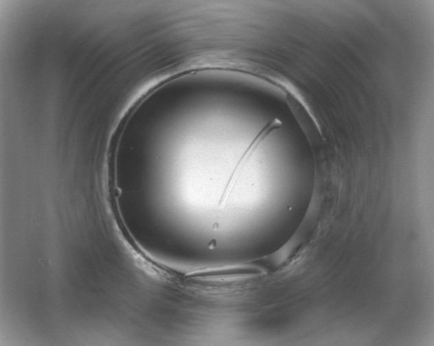 X0000064721147200602101117