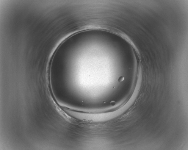 X0000064721148200602101117