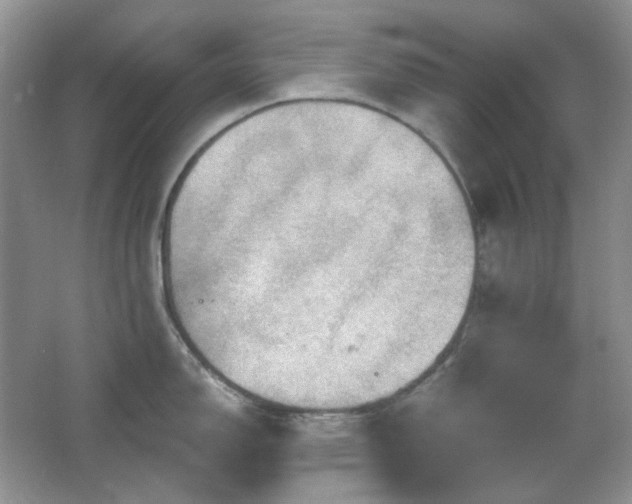 X0000064721150200602101117