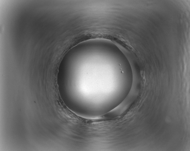 X0000064721153200602101116