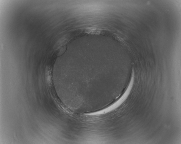 X0000064721154200602101116