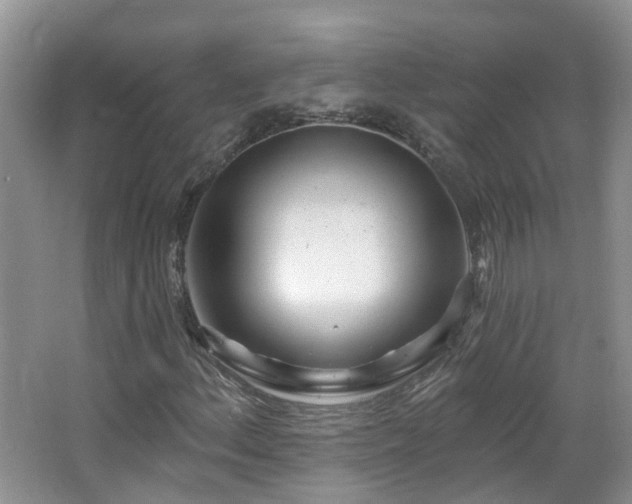 X0000064721156200602101116
