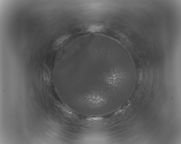 X0000064721158200602101116