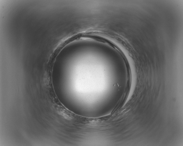 X0000064721160200602101116