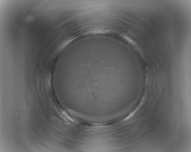 X0000064721161200602101116