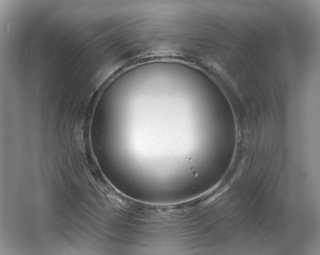 X0000064721162200602101116