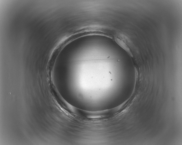 X0000064721164200602101116
