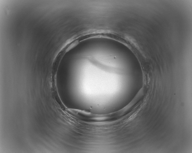 X0000064721165200602101116