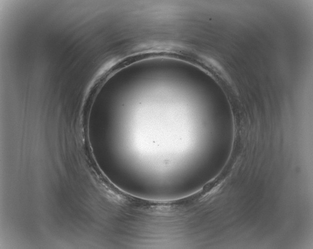 X0000064721172200602101116