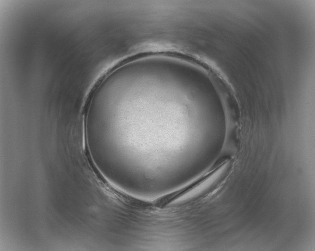 X0000064721175200602101116