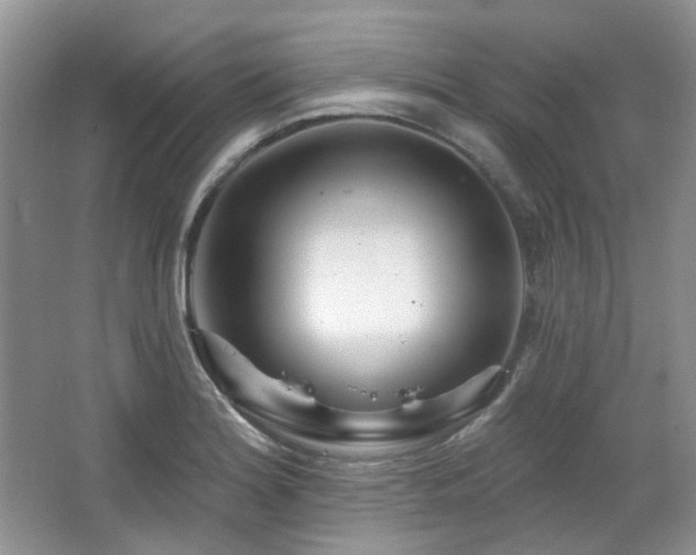X0000064721180200602101116
