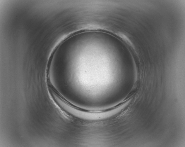 X0000064721183200602101116