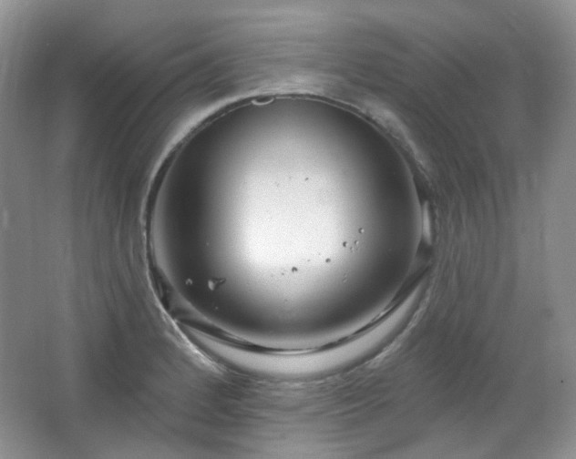 X0000064721184200602101116