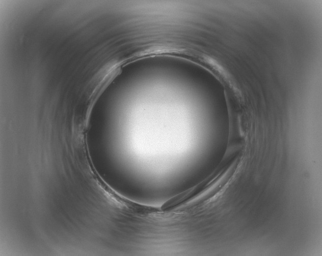 X0000064721185200602101116