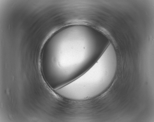 X0000064721188200602101116