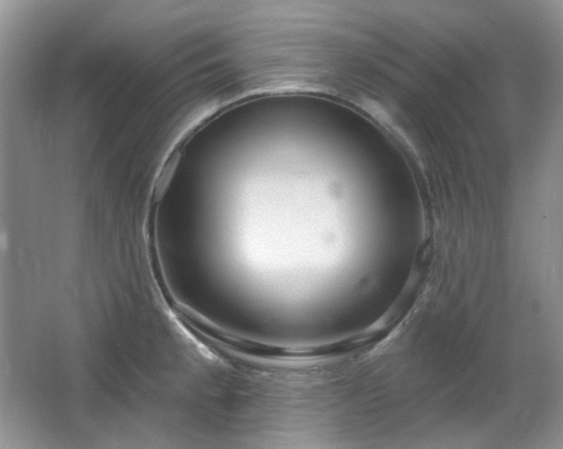 X0000064721189200602101116
