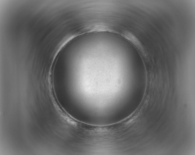 X0000064721190200602101116