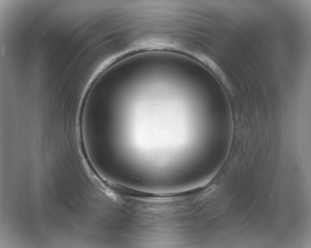 X0000064721191200602101116