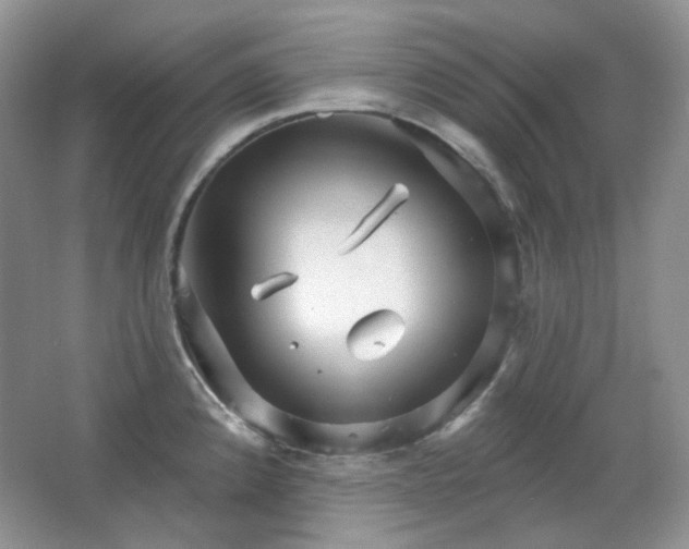 X0000064721192200602101116